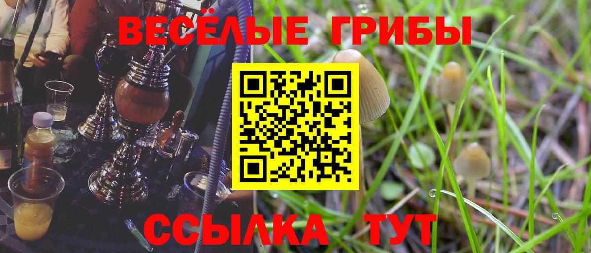 Химки  Псилоцибиновые грибы Psilocybe  что такое наркотик  Вход с VPN  Галлюциногенные грибы Psilocybine cubensis 